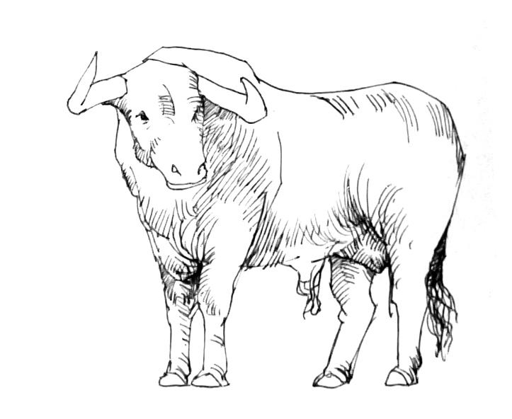 Paso 1: dibujo original