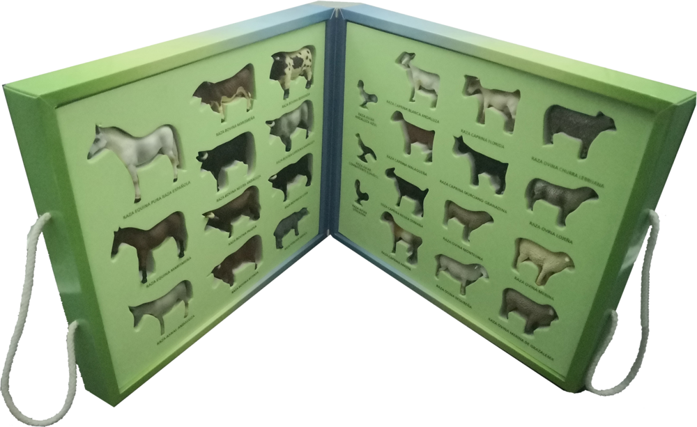 Maletín con figuras