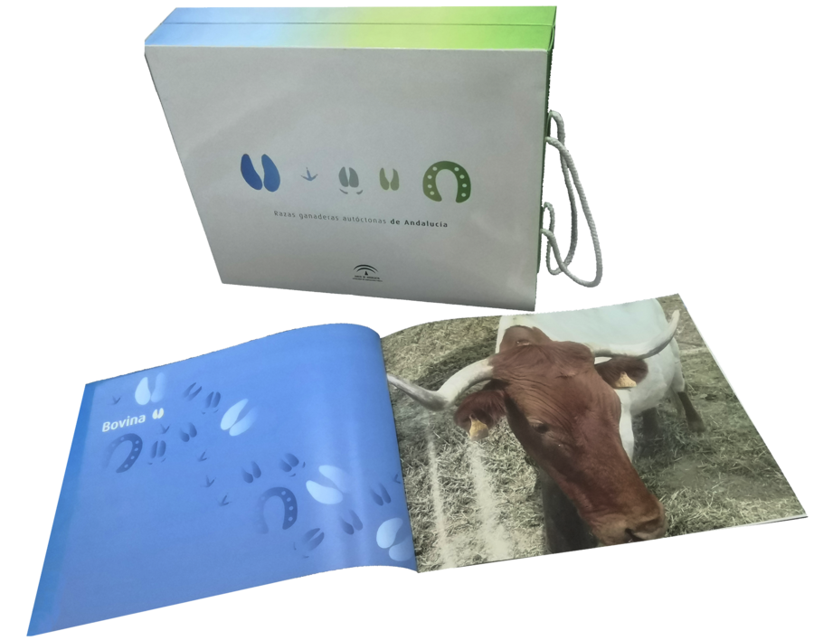 Set completo con caja y libro